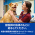 【特別療法食】ヒルズ  犬用 腸内バイオーム コンフォート 繊維&消化ケア チキン食事療法食